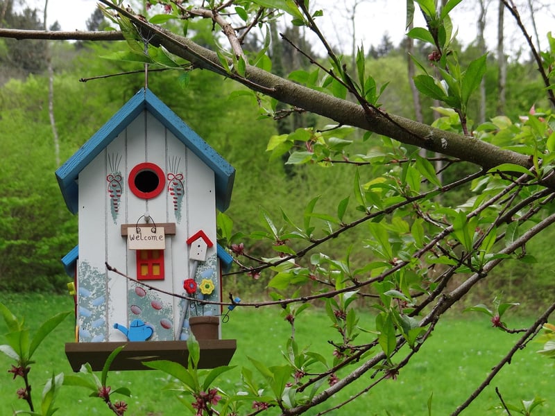 Magical Treehouse